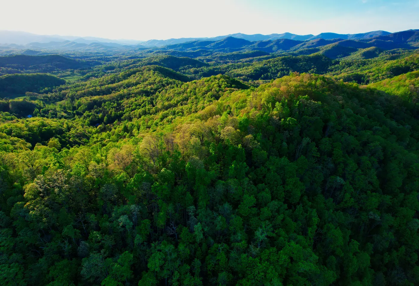Aerial view of forested ridges and distant blue mountains at golden hour
