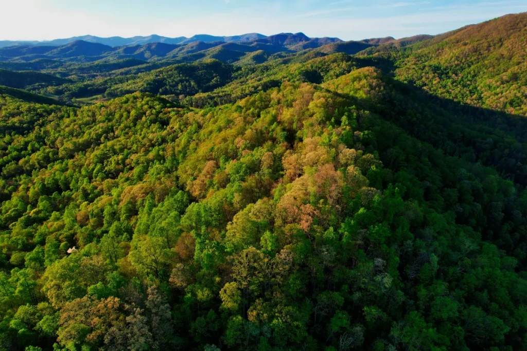 Wooded mountain ridge in spring