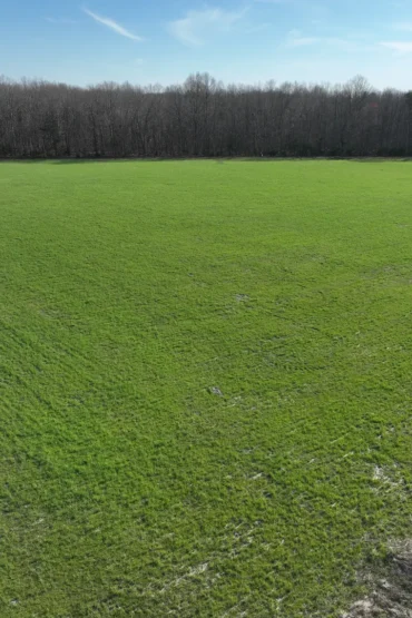 Aerial view of open pasture bordered by a hardwood treeline